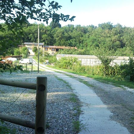 La Bedina Villa Rivara ภายนอก รูปภาพ